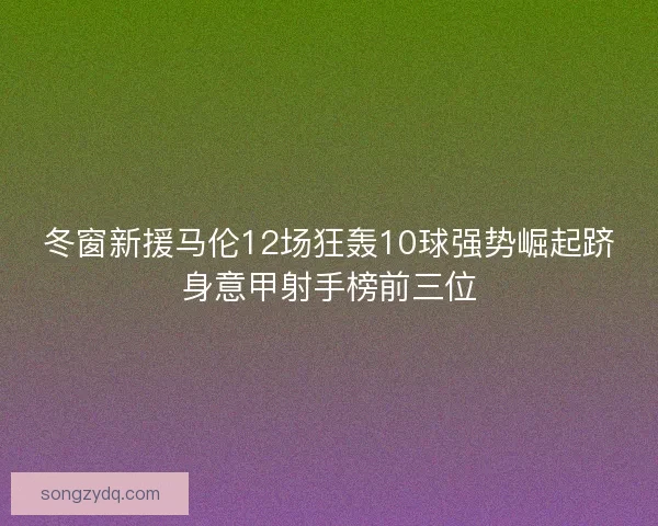 冬窗新援马伦12场狂轰10球强势崛起跻身意甲射手榜前三位